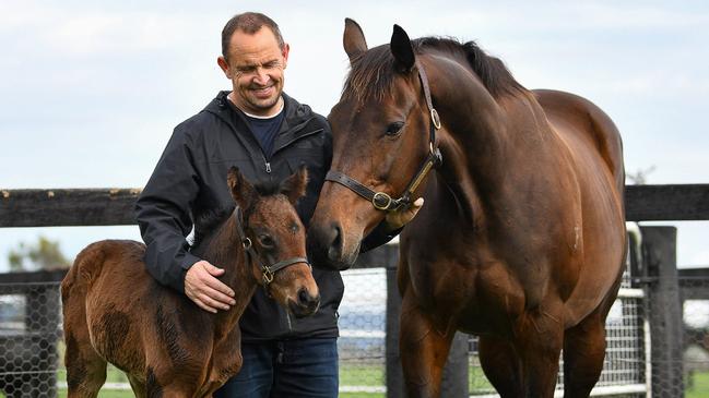 Trainer Chris Waller with Winx and her Pierro filly.