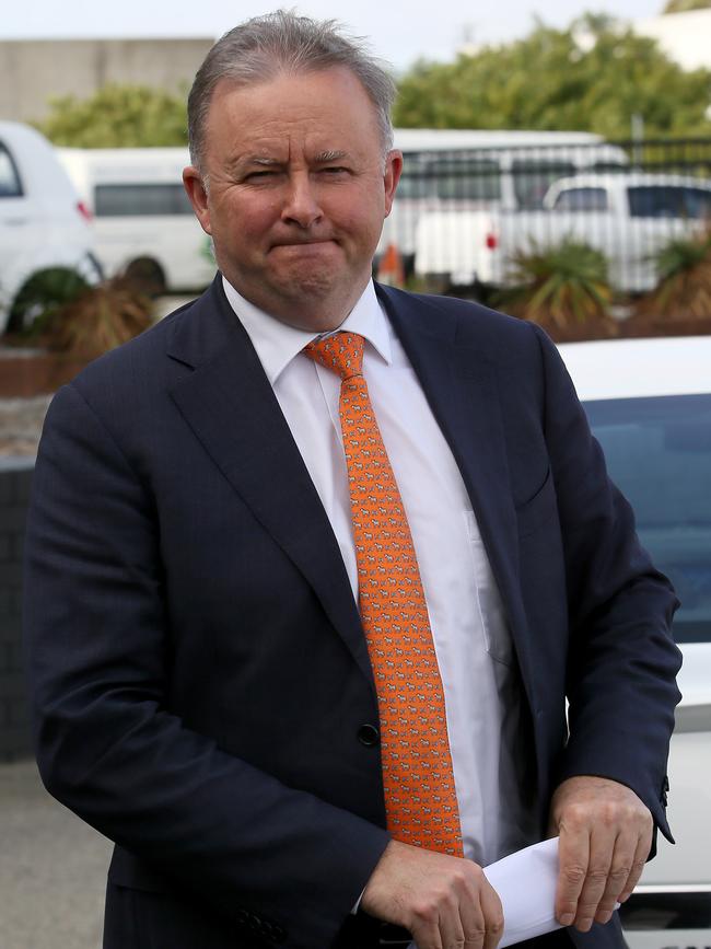 Opposition Leader Anthony Albanese.