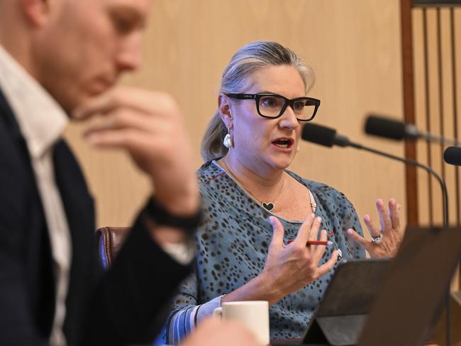 Senator Hollie Hughes at Parliament House in Canberra. Picture: NCA NewsWire / Martin Ollman