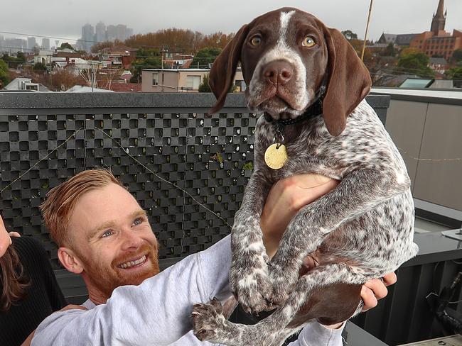 James Webster, 30, [far right], the owner of the German Shorthaired Pointer Reggie won the right to keep their puppy on the rooftop terraced apartment. James with his housemates John Knowles and Tali Eades. A court this month found in favour of four tenants who had been refused permission from their landlord to keep a German Shorthaired Pointer in their three-level city apartment, with a rooftop terrace. The landlord initially objected to the puppy. Picture: Alex Coppel.