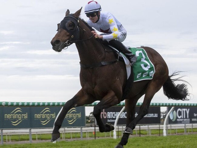 Racehorse Seat of Power. Photo: Greg Irvine, Magic Millions.