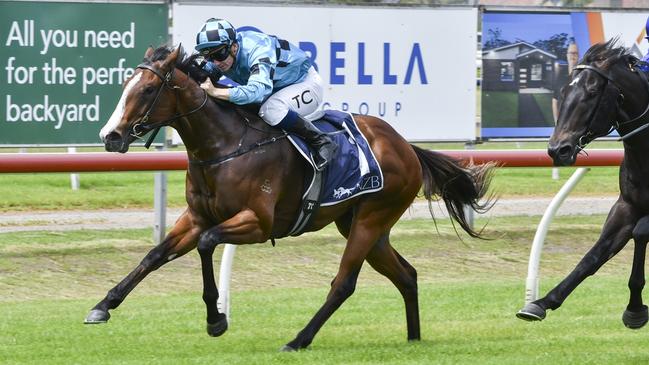 Blitzburg is looking to make it two from two when he heads to Wyong. Picture: Bradley Photos