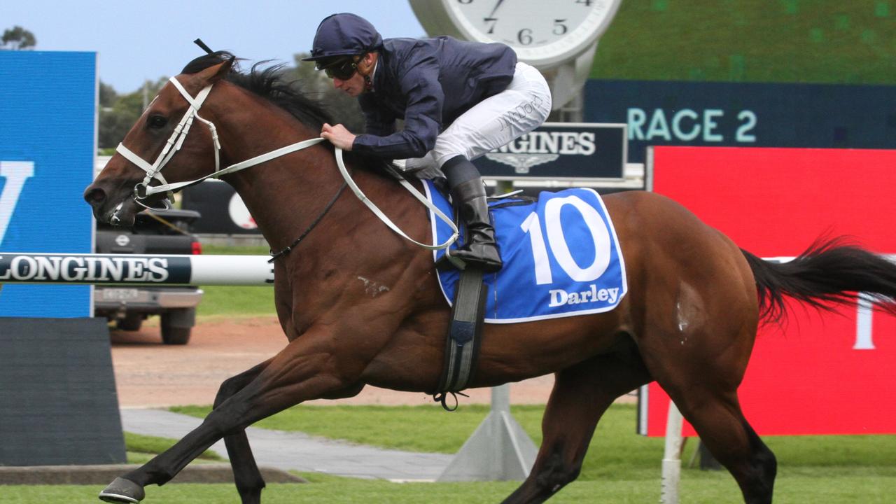 Operative can make it a hat-trick at Randwick on Saturday. Picture: Grant Guy