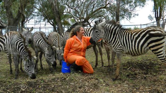 Darling Downs Zoo director Stephanie Robinson feeds the zoo's newest residents. Photo Contributed