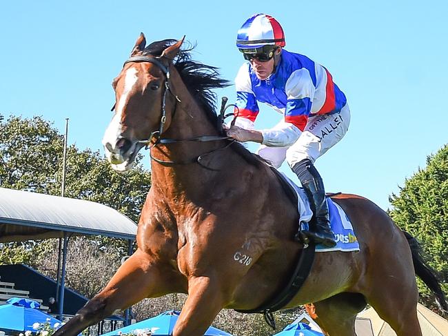 Layeruponlayer ridden by John Allen wins the James Vac Solutions Maiden Plate at Sportsbet-Ballarat Racecourse on April 28, 2024 in Ballarat, Australia. (Photo by Reg Ryan/Racing Photos via Getty Images)