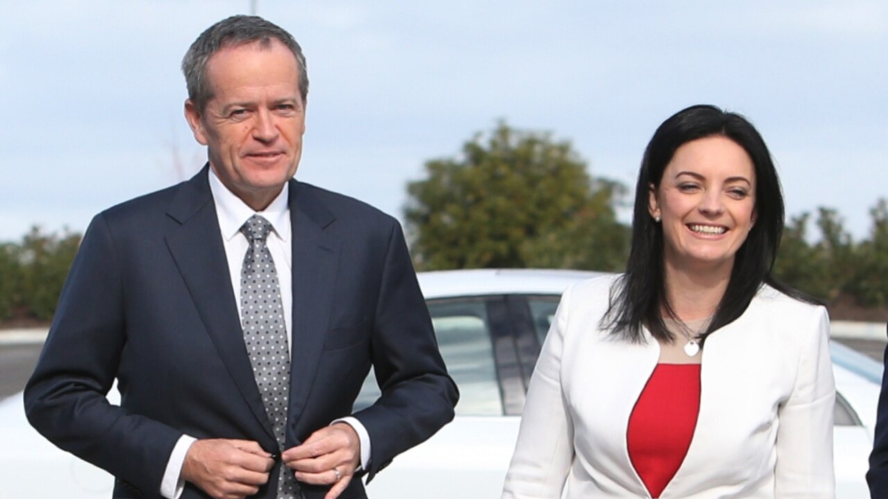 Bill Shorten Defends Labor Backbencher Accused Of Being A Bully Sky News Australia 6033