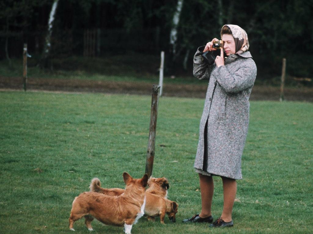 The Queen has has corgis since she was a young woman. Picture: Getty Images