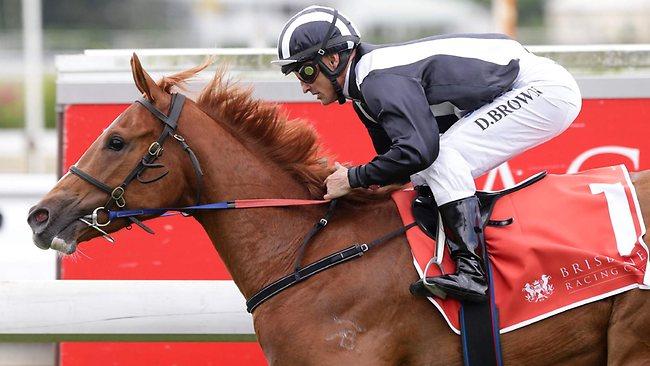 Genuine customer Missy Longstocking ridden by Damian Browne at Eagle Farm. Picture: Darren England