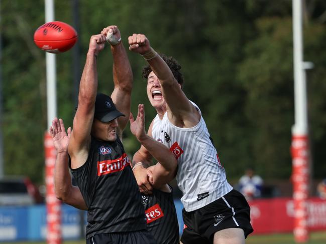 Collingwood training. Saturday, February 15. 2025. Picture: David Crosling