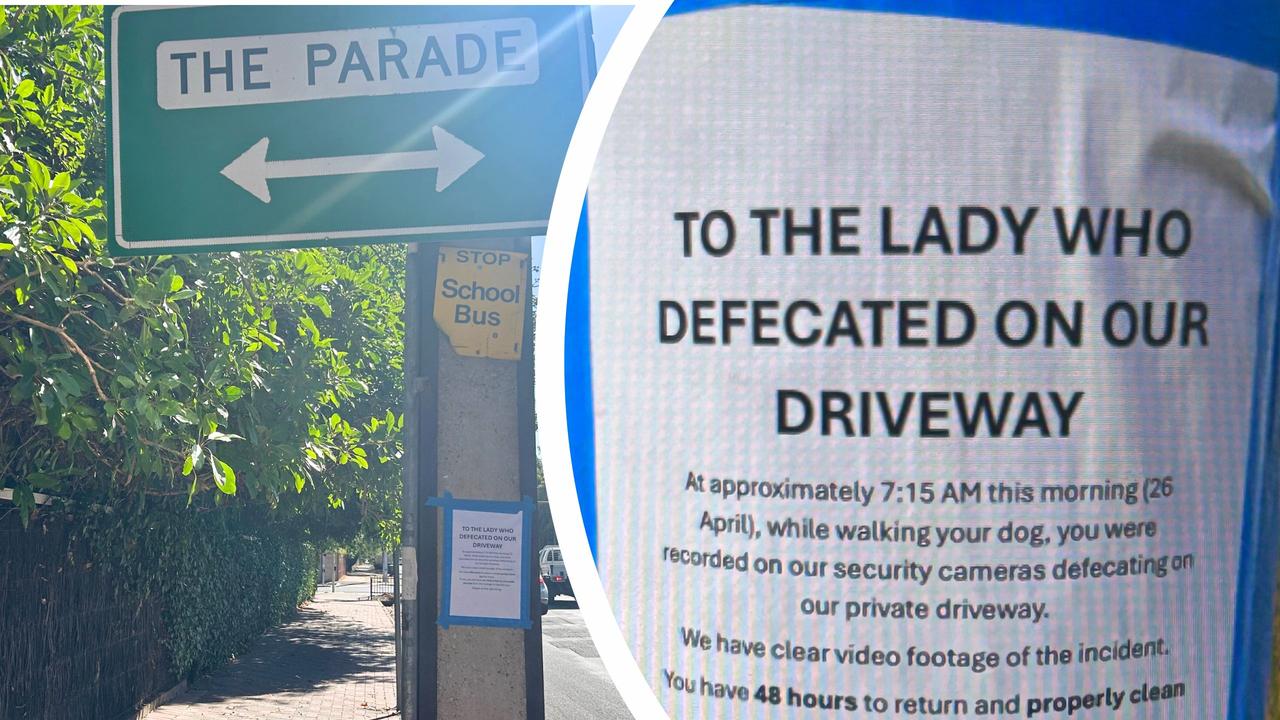 Driveway defecator: Woman called out for disgusting act