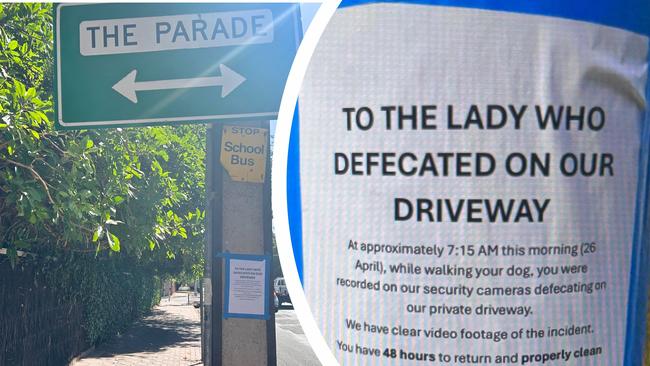 driveway defecator art work for tiser