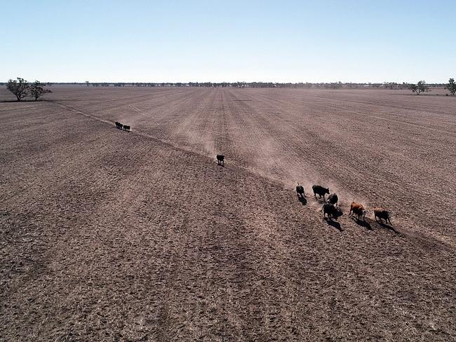 Parts of country NSW are suffering from one of the worst dry spells in history. Picture: Sam Ruttyn