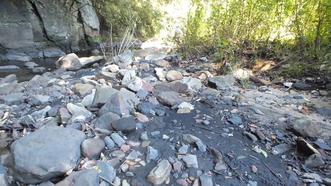 Coal sludge visible on the banks of Camp Gully Creek in 2021. Camp Gully Creek is adjacent to Peabody’s Metropolitan Colliery’s surface facilities at Helensburgh, and the creek flows directly into the Royal National Park. Picture: Supplied