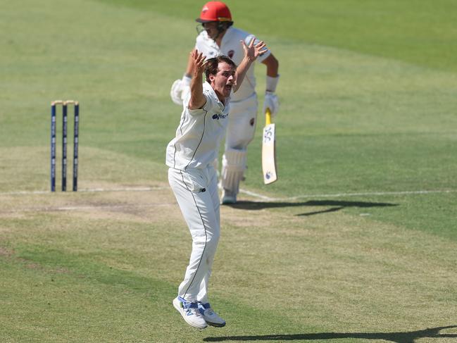 Lance Morris is in the frame to debut this summer. Picture: Paul Kane/Getty Images