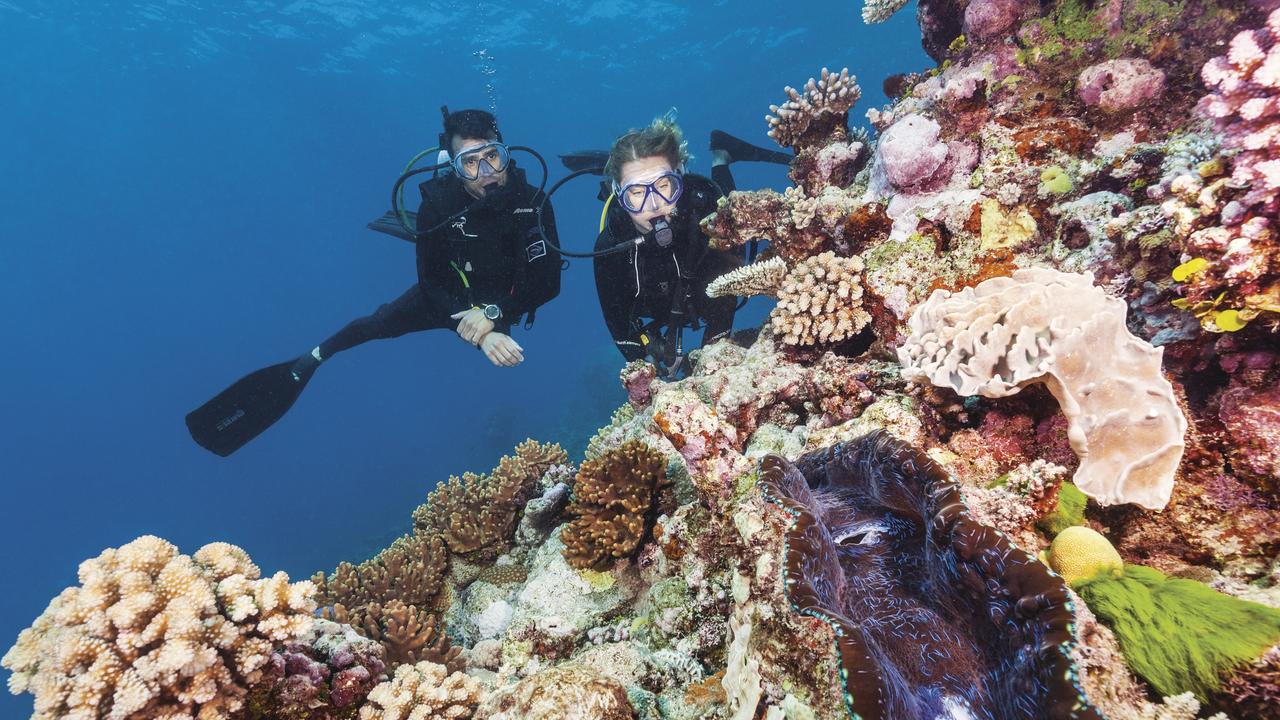 Great Barrier Reef Foundation treats elite to luxury island stay after ...