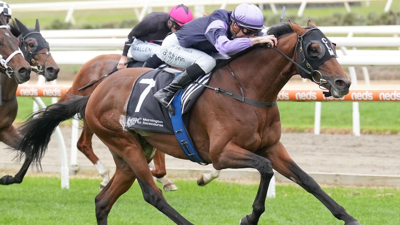 Blackbook: Horses To Follow And Forgive From Saturday’s Flemington ...