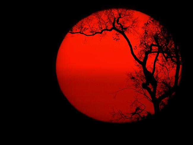 The sun sets behind burnt trees of the Amazon rainforest, south of Porto Velho on August 27, 2019. - Brazil will accept foreign aid to help fight fires in the Amazon rainforest on the condition that the Latin American country controls the money, the president's spokesman said Tuesday. (Photo by CARL DE SOUZA / AFP)