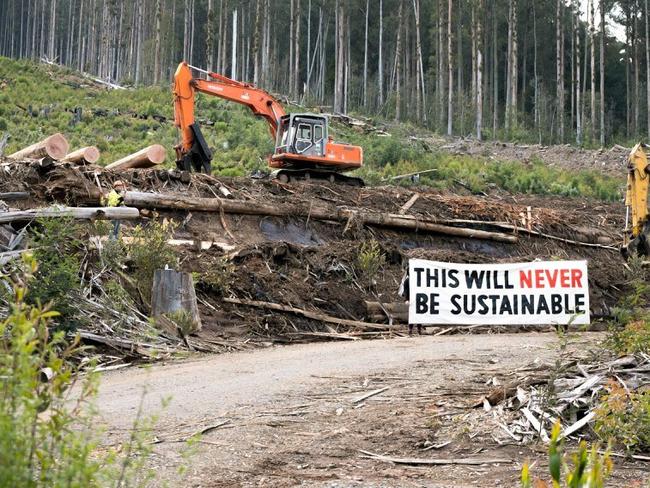 Forest Conservation Victoria protests in native forests after Andrews Government announced 2030 end-date for native timber logging.