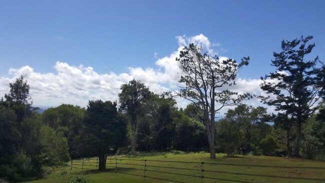 This is the site for the new Springbrook eco-tourism cabins.