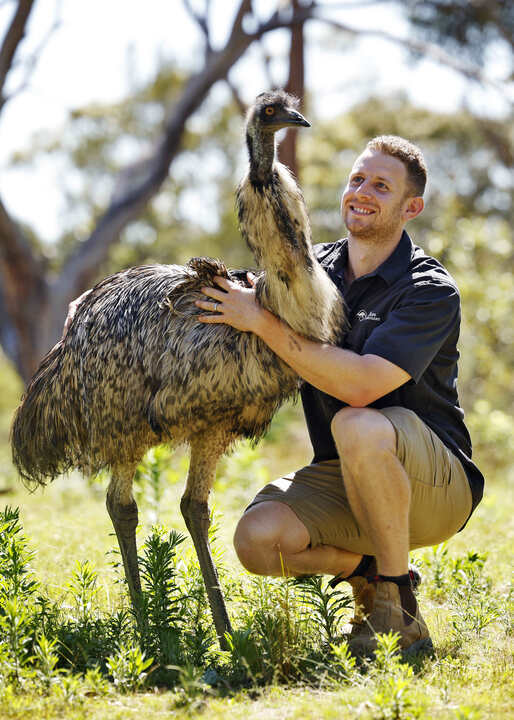 The Sydney sanctuary saving Aussie wildlife