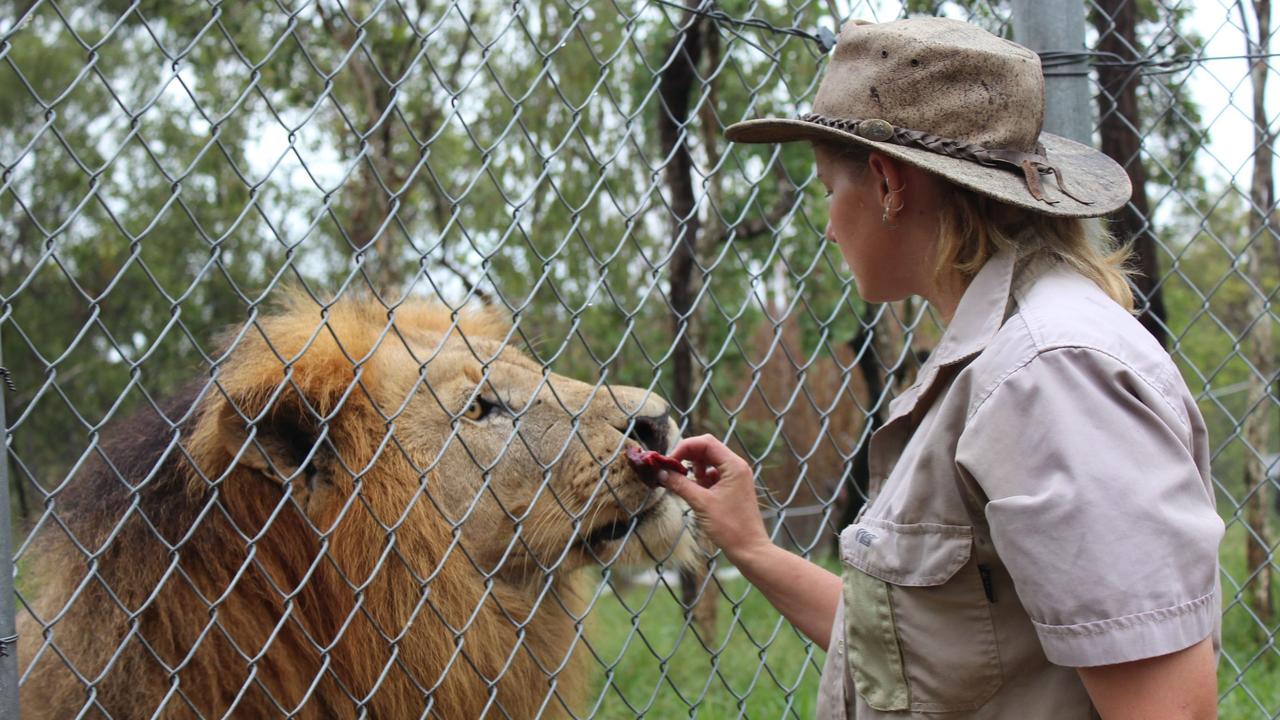 Jen Brown is still dedicated to caring for animals despite the attack. Picture: Supplied