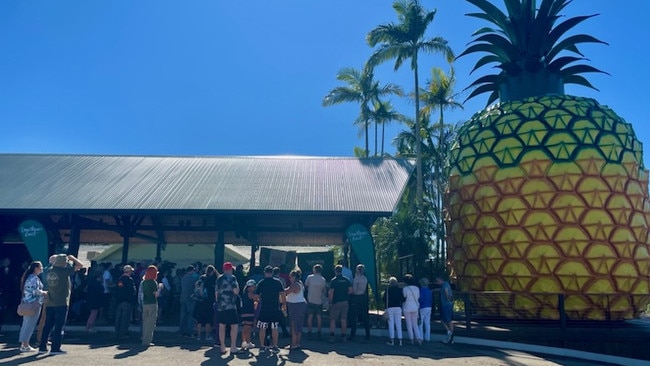 The Big Pineapple official reopening at midday June 11, 2024 attracted thousands to the popular ‘Big Thing’ that first opened in 1971. Photo: Michele Sternberg/Visit Sunshine Coast