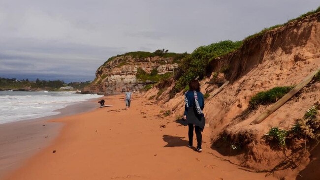 Erosion caused by damaging surf on Mona Vale Beach on Sunday, near the end of Cook Terrace. Picture: John Grainger