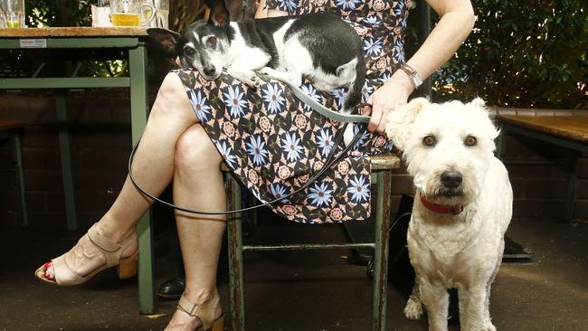 Amanda Wilkson with her dogs Iggy and Bertie at the Erskineville Hotel. Picture: John Appleyard