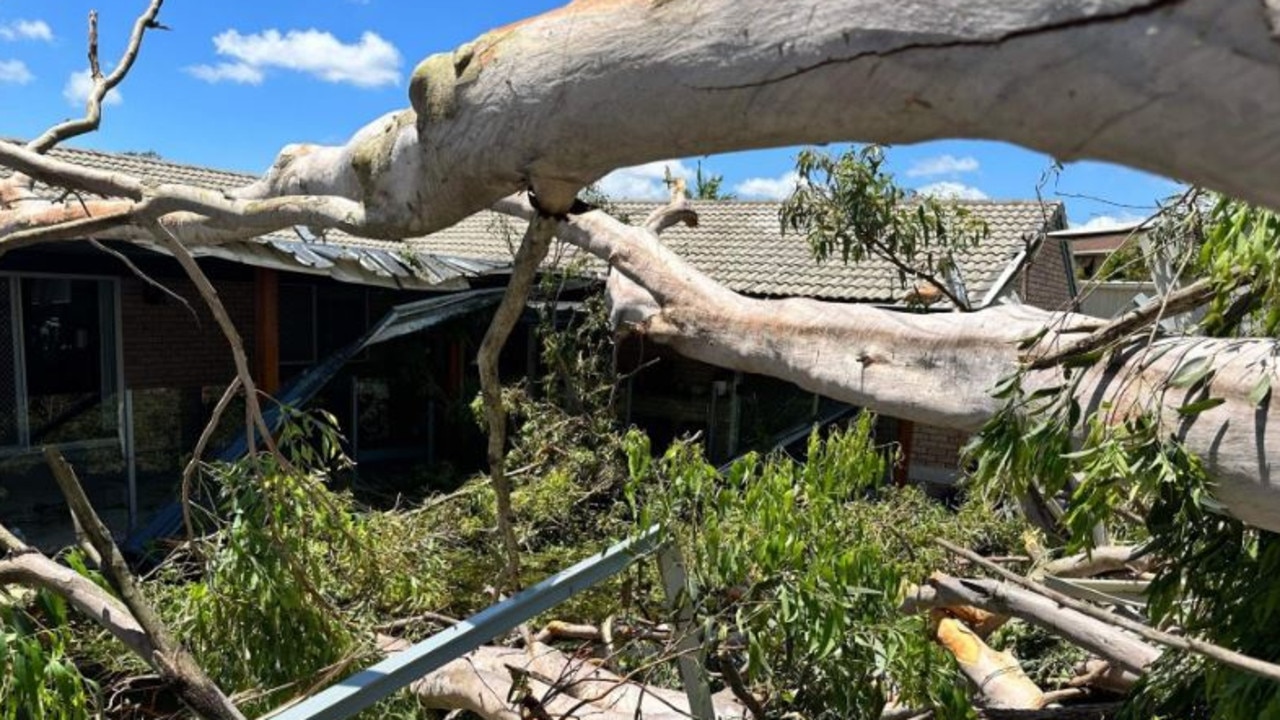 Severe weather is expected for Queensland this summer. A house is crushed by a gumtree in the Christmas night storms on the Gold Coast.