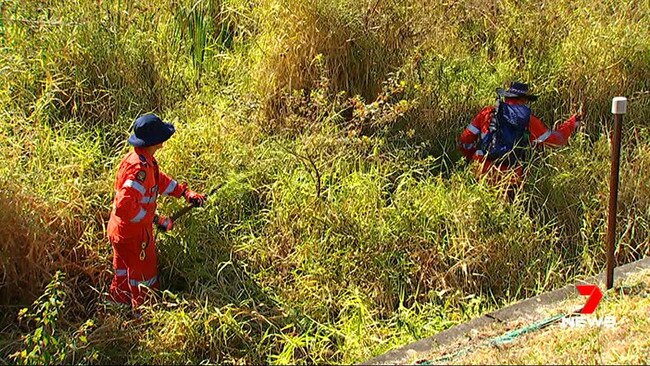 State Emergency Service volunteers help scour Maroochydore scrub for clues after David Collin was killed. Picture: 7 News