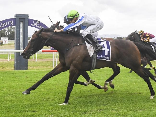 Hellbent On You can score a second win for the campaign when she steps out at Randwick-Kensington. Picture: Bradley Photos