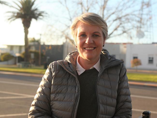 Tanya Plibersek championed a 2019 policy to reform public abortion access in Australia. Picture: Else Kennedy