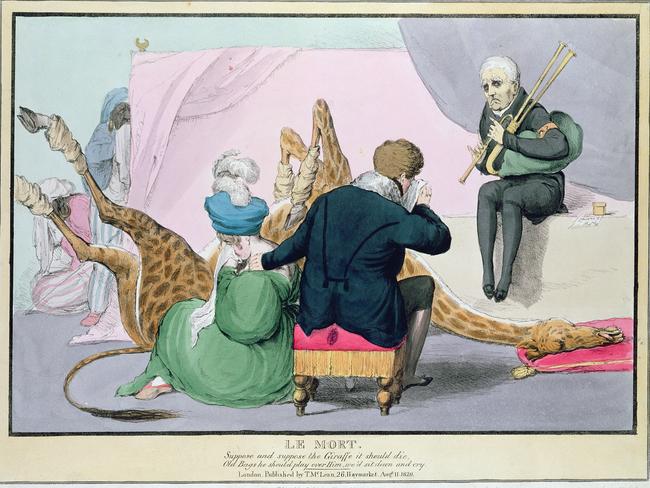 ‘Caricatures lampooned his fixation’ … even after the giraffe died, cartoonists mocked the king.