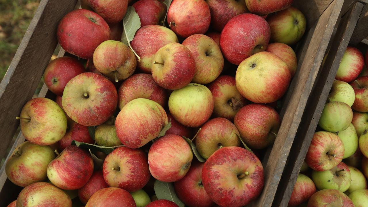 Apple growers say they can’t keep up with costs. Picture: Sean Gallup/Getty Images.