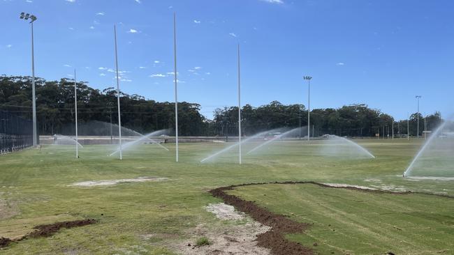 The new turf is watered in on the outside fields which will cater for ALF, cricket and touch football. Picture: Chris Knight