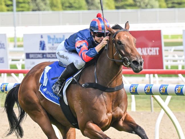 Cleo Cat ridden by Jordyn Weatherley wins the Hygain Winners Choice BM58 Handicap at Sportsbet-Ballarat Racecourse on November 04, 2024 in Ballarat, Australia. (Photo by Reg Ryan/Racing Photos via Getty Images)