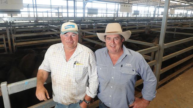 Buyers John Hurley, from Oakey, QLD &amp; Andrew Wardle, from St George, QLD. Picture: Yuri Kouzmin