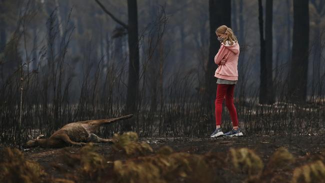 A young girl looks at the burnt body of dead kangaroo at a scorched property in Mallacoota. Picture: David Caird