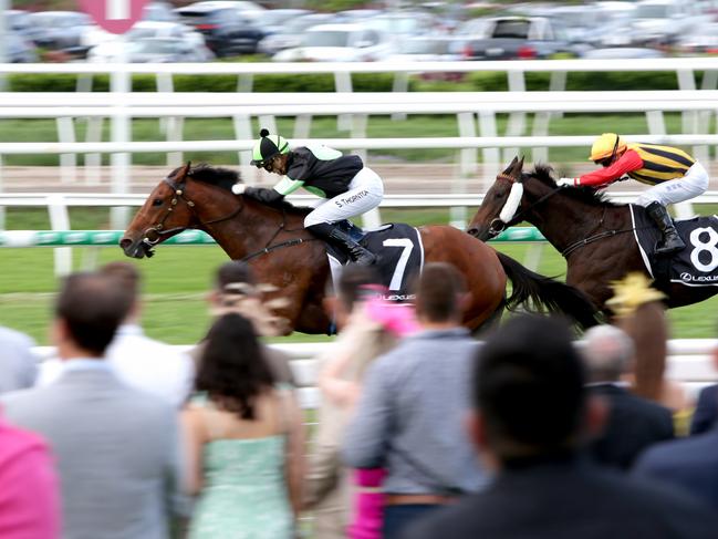 Melbourne Cup day at Brisbane Spring Racing Carnival, Eagle Farm, Tuesday 2nd November 2021 - Photo Steve Pohlner