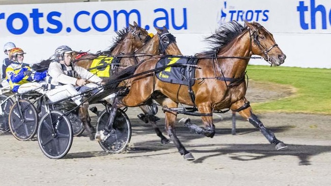 Leap To Fame is out of the Group 1 Victoria Cup. Picture: Stuart McCormick