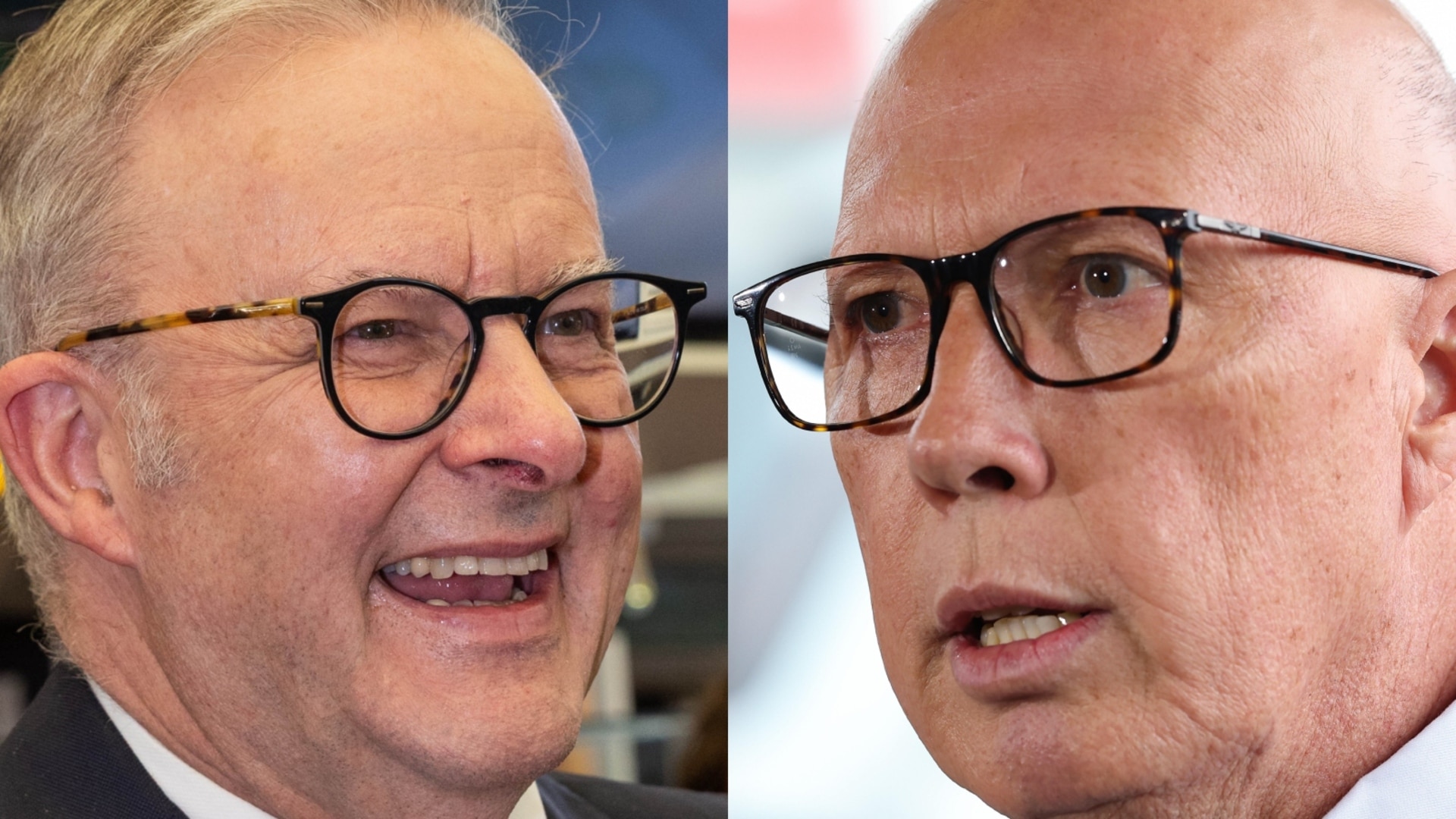 Labor’s attacks on Dutton have been ‘successful’ amid recent polling numbers