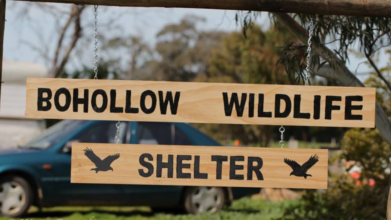 Kirsty Ramadan is an operator of wildlife rescue centre Bohollow Wildlife Shelter. Picture: Kirsty Ramadan/Facebook