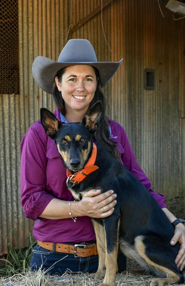 Muster Dogs: Collies vs. kelpies, cute pics and fun facts | The Cairns Post