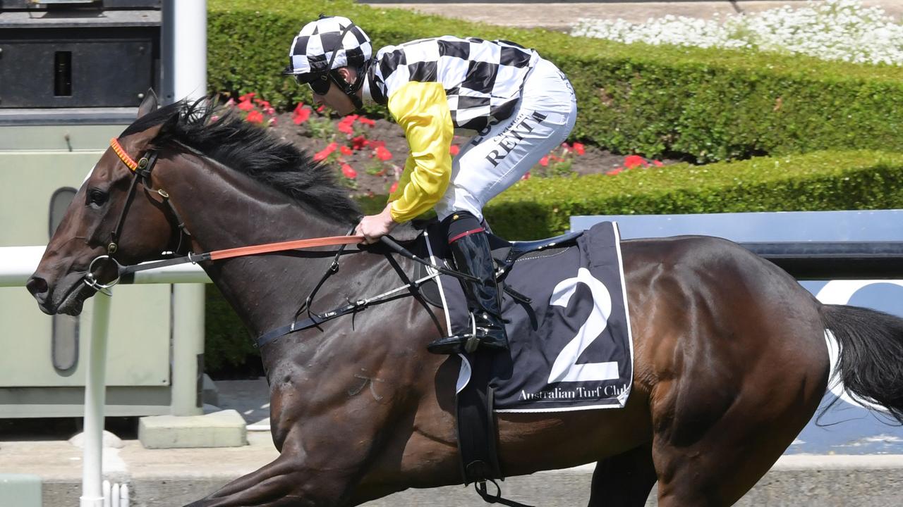 Sky Boy notched his fourth straight win in style at Rosehill Gardens. Picture: AAP