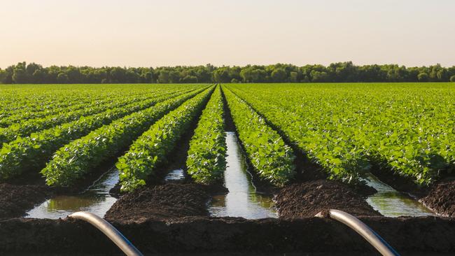 The 5976ha Cowal Agriculture has been sold in a deal understood to be worth more than $120 million.