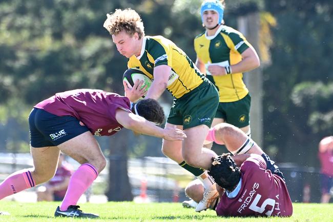 Campbell King. University v Wests, Colts Saturday June 8, 2024. Picture, John Gass