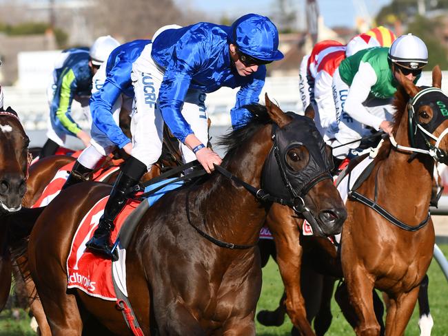 Jungle Cat takes out the Sir Rupert Clarke Stakes.