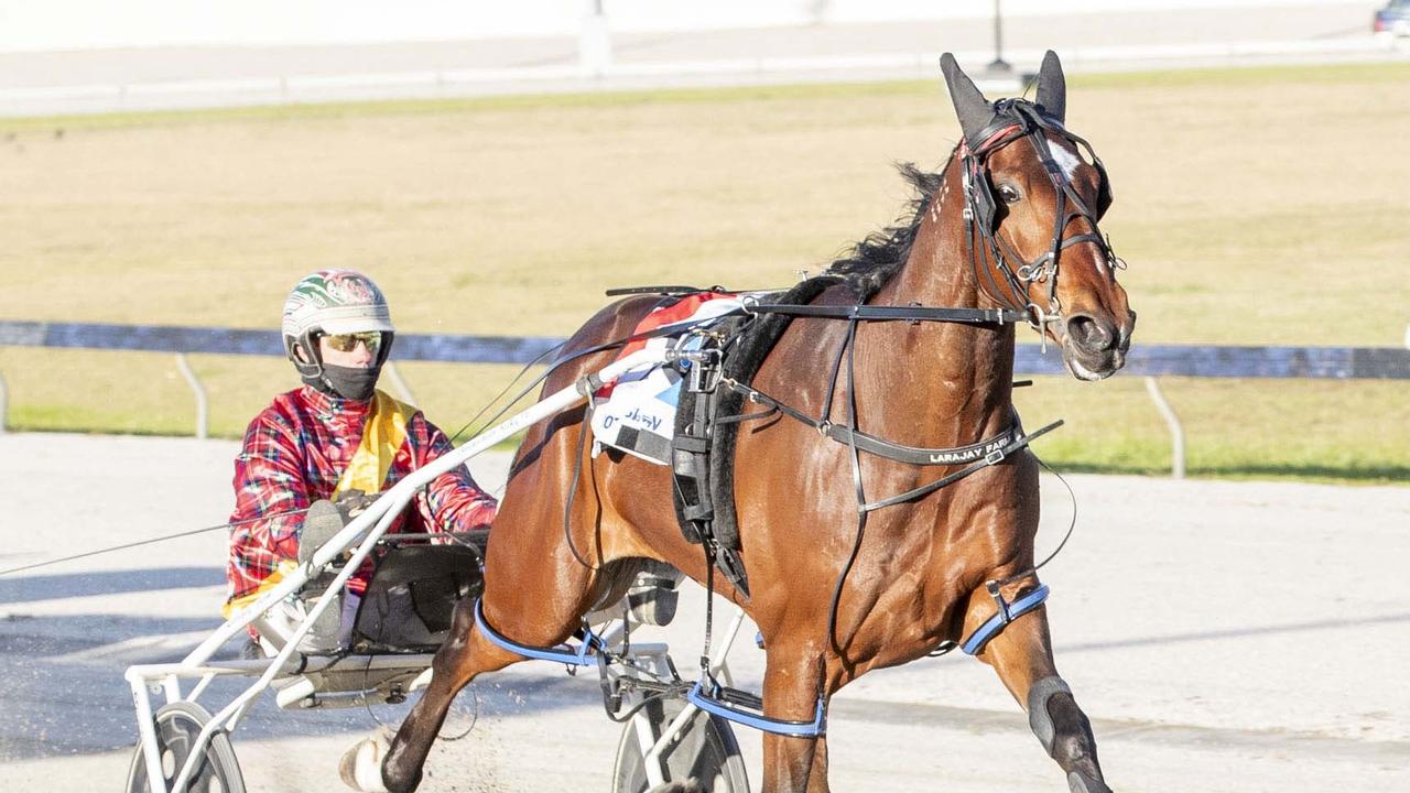 Emerging star fights his way back for Chariots Of Fire tilt