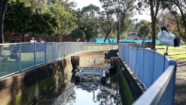 A photo of the Cooks River.