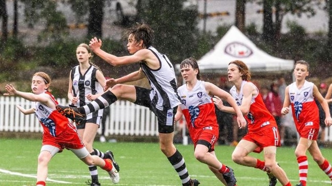 The Glebe Greyhounds and Ocean Grove Cobras play against each other each year.